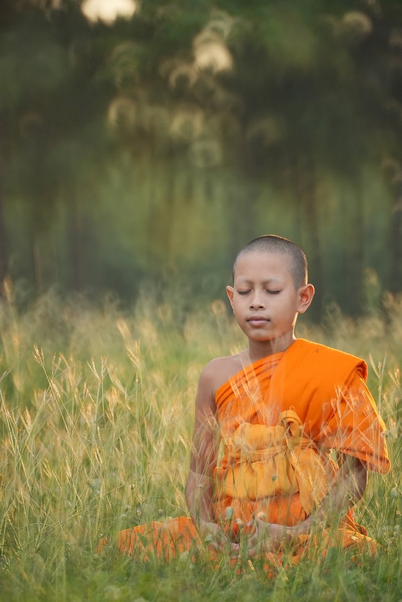 Forest meditation